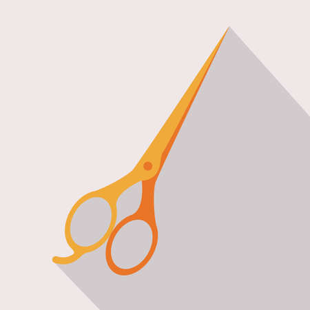 Hair saloon design over white background, vector illustrationのイラスト素材
