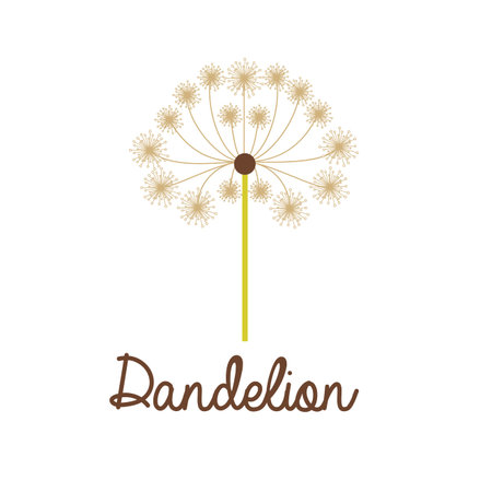 Flowers design over white background, vector illustrationのイラスト素材