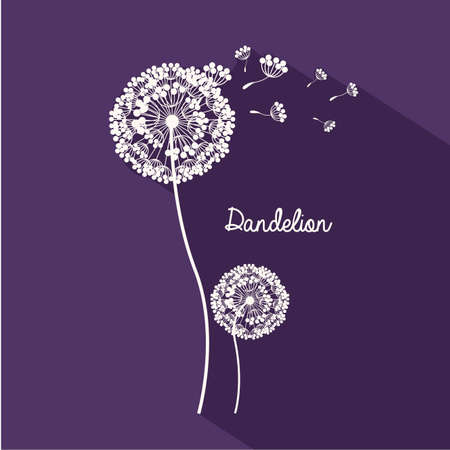 Flowers design over purple background, vector illustrationのイラスト素材