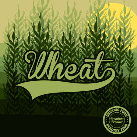 Wheat  design over green background, vector illustrationのイラスト素材