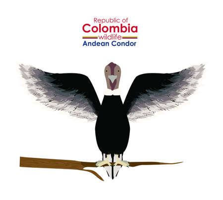 Animal design over white background, vector illustrationのイラスト素材