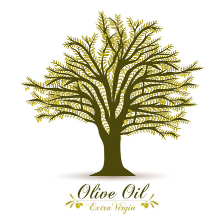 Olive oil design over white background, vector illustrationのイラスト素材
