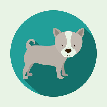 Pets design over beige background,vector illustrationのイラスト素材
