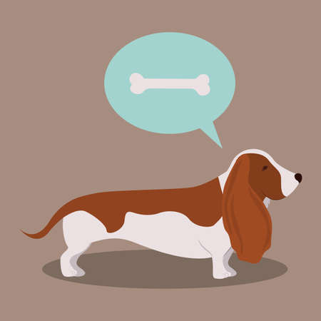 Pets design over beige background,vector illustrationのイラスト素材