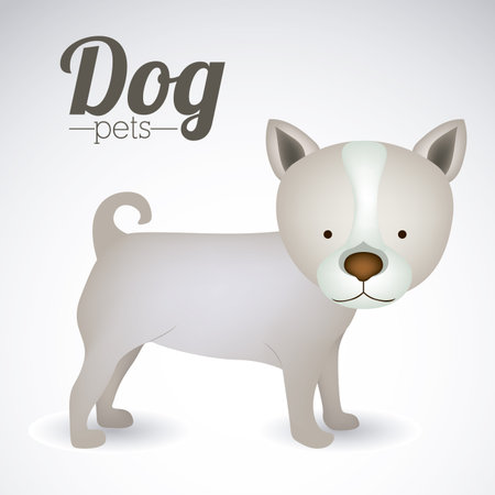 Pets design over white background,vector illustrationのイラスト素材