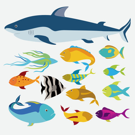 Fish design over white background,vector illustrationのイラスト素材