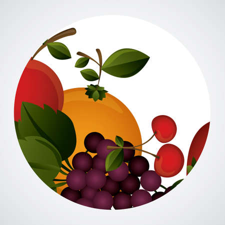 Fruits design over white background, vector illustrationのイラスト素材