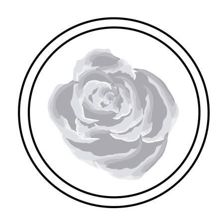 Flowers design over white background, vector illustrationのイラスト素材