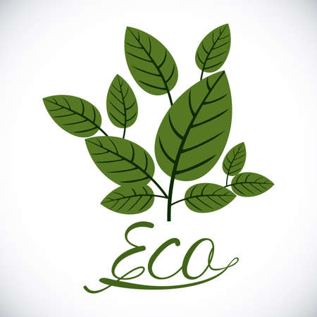 Ecology design over white background,vector illustrationのイラスト素材