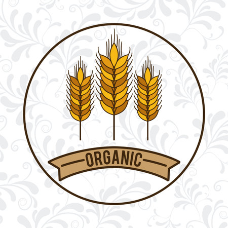 Food design over white background,vector illustration.のイラスト素材