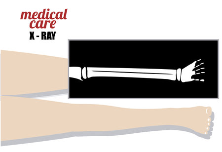 body,healthy desing over, white background, vector illustration.のイラスト素材