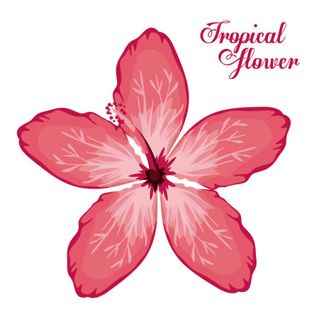 Tropical flowers design, vector illustrationのイラスト素材