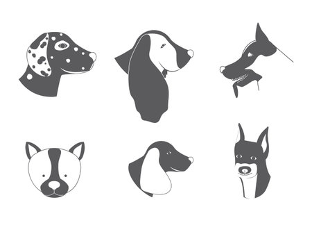 Pet design over white background,vector illustration