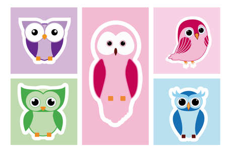 Owl  design over white background, vector illustrationのイラスト素材
