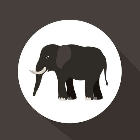 Circus design over grey background, vector illustrationのイラスト素材