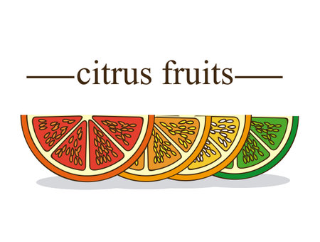 Fruit design over white background, vector illustrationのイラスト素材