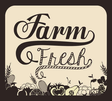 Organic Food design over vintage background, vector illustrationのイラスト素材