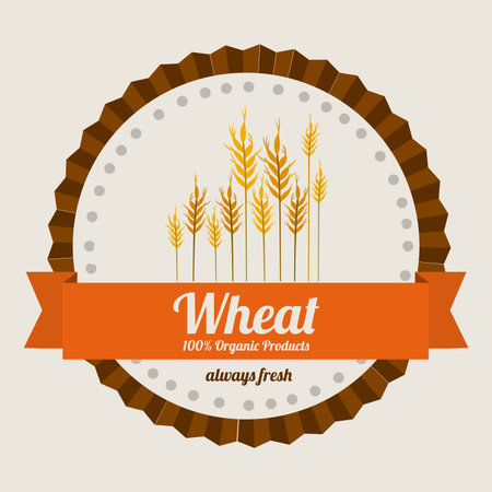 Organic Food design over white background, vector illustrationのイラスト素材