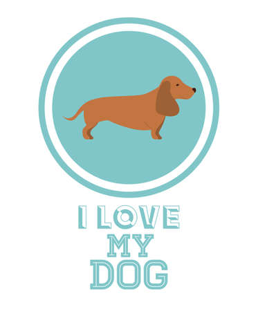 Love pet design over white background, vector illustrationのイラスト素材