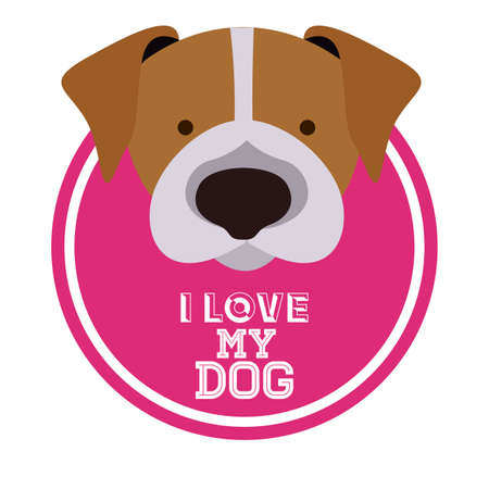 Love pet design over white background, vector illustrationのイラスト素材