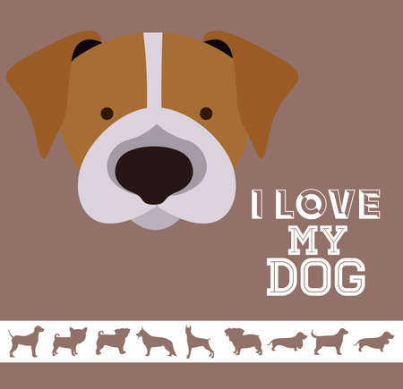 Love pet design over white background, vector illustrationのイラスト素材