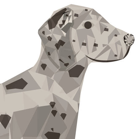 animal print design over white background, vector illustrationのイラスト素材
