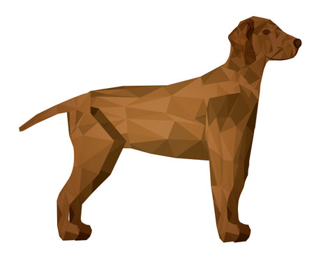 Animals design over white background, vector illustrationのイラスト素材