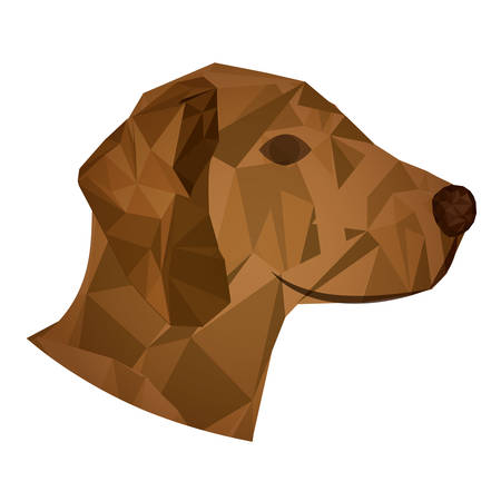 Animals design over white background, vector illustrationのイラスト素材