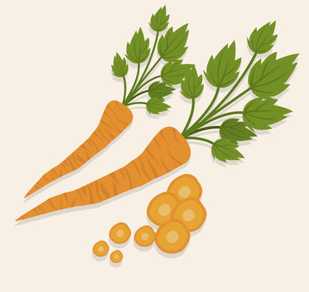 Vegan design over white background, vector illustrationのイラスト素材