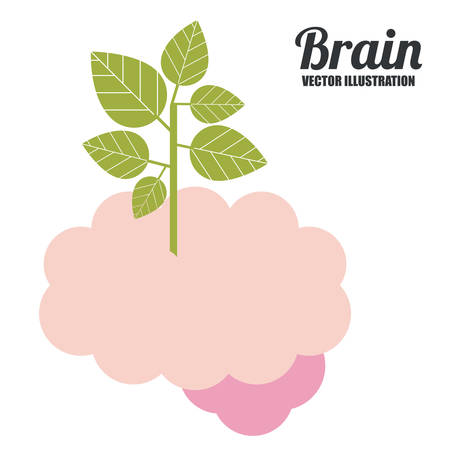 Brain design over white background, vector illustrationのイラスト素材