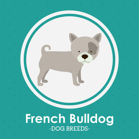 Pets Love design over green background, vector illustrationのイラスト素材