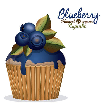 Blueberry design over white background, vector illustrationのイラスト素材