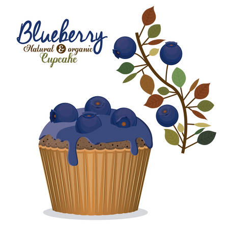 Blueberry design over white background, vector illustrationのイラスト素材
