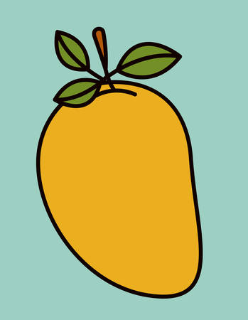 Fruits digital design, vector illustration のイラスト素材