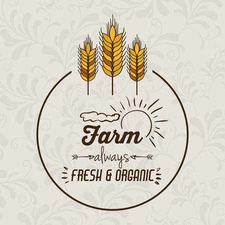 Farm Food digital design, vector illustration eps 10のイラスト素材