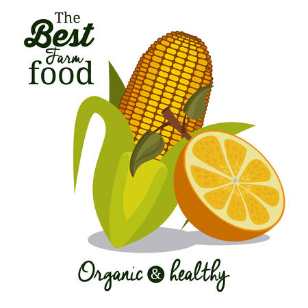 Farm Food digital design, vector illustration eps 10のイラスト素材