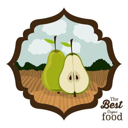 Farm Food digital design, vector illustration eps 10のイラスト素材