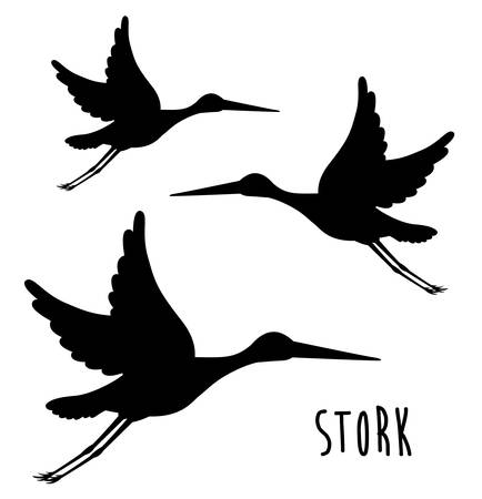 cute stork design, vector illustration eps10 graphicのイラスト素材