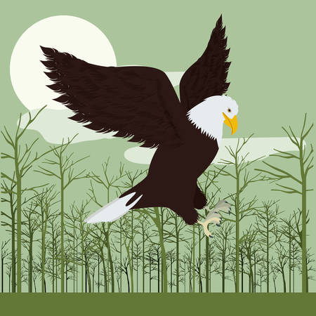 animal wildlife design, vector illustration eps10 graphicのイラスト素材