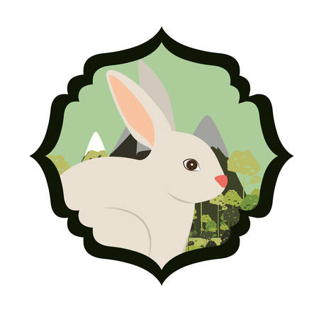 animal wildlife design, vector illustration eps10 graphicのイラスト素材