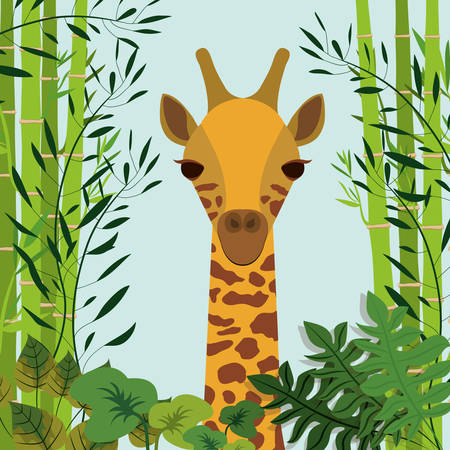 animal wildlife design, vector illustration eps10 graphicのイラスト素材