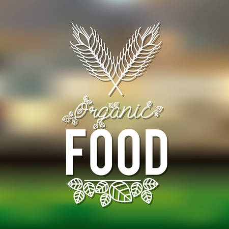 vegetarian food design, vector illustration eps10 graphicのイラスト素材