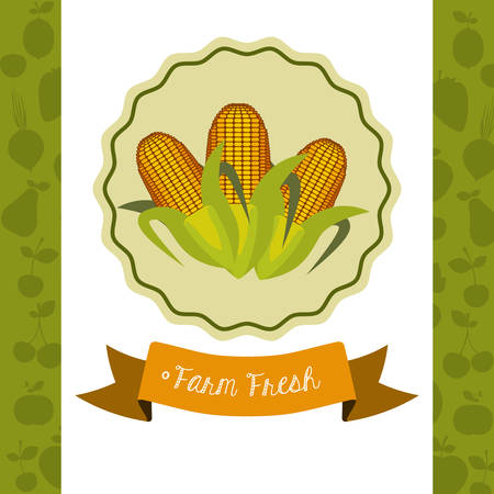 farm fresh food design, vector illustration  のイラスト素材