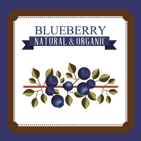 delicious blueberry designのイラスト素材