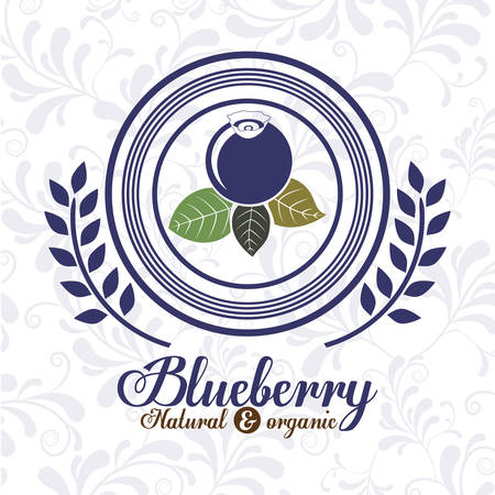 delicious blueberry designのイラスト素材