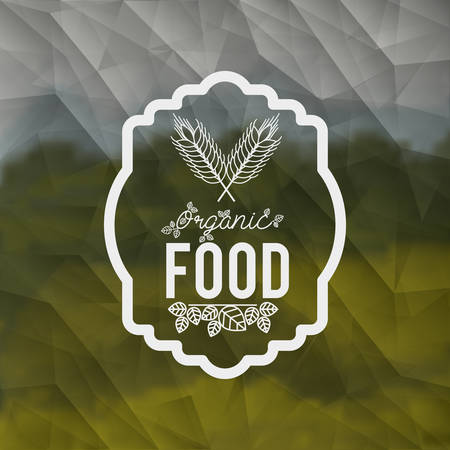 vegetarian food design, vector illustration eps10 graphicのイラスト素材