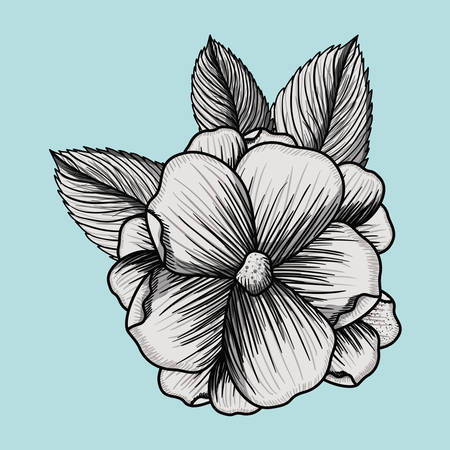 flower drawing design, vector illustration eps10 graphicのイラスト素材