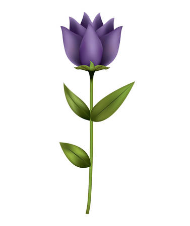 beautiful flower isolated icon vector illustration designのイラスト素材
