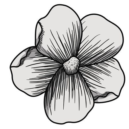 beautiful flower drawing isolated vector illustration designのイラスト素材