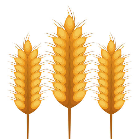 wreath spikes nature isolated icon vector illustration designのイラスト素材